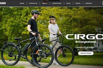 design 7 figure bicycle shopify skate store bicycle parts bike rental website