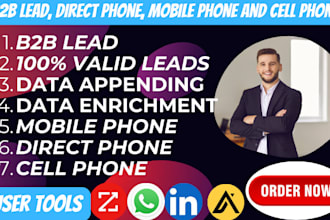 b2b lead generation, data enrichment, direct mobile phone number whatsapp number