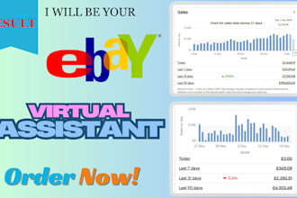 manage your ebay dropshipping store as VA, store automation
