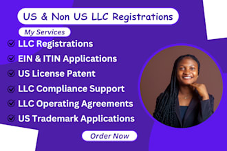 assist register US llc company for US and non US residents with ease