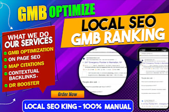 do monthly local seo ranking and do website, google my business optimization