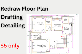 do detailing, drafting and redraw floor plans