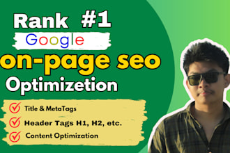 provide on page SEO  and technical optimization services