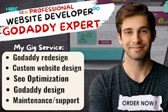 redesign and design godaddy website, ionos website, godaddy seo, godaddy website