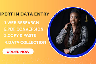 do data entry and copy paste job