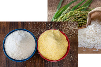garri shopify store rice shopify store