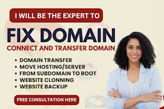 do domain connection connect domain, redirect domain fix dns and transfer domain