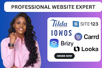 set up stunning sites on tilda, site123, ionos and more