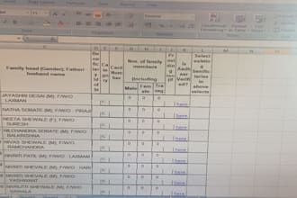 excel data analysis, data entry