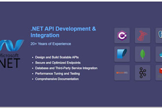 develop professional web applications in dotnet