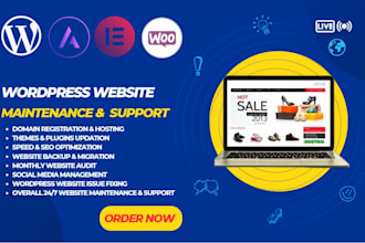provide wordpress website maintenance, updates, and support