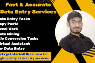 be your VA for accurate data entry for your ecommerce store