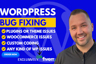 fix wordpress issues wordpress bug fix critical error fix wordpress error css