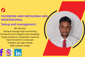 do facebook and instagram ads campaign with targeted