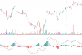 manually backtest your crypto, forex, stock trading strategy and provide reports