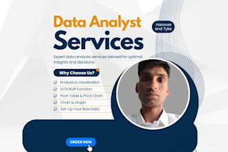 fix excel data visualization,vlookup,pivot table