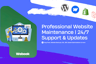 provide professional website maintenance, 24 7 support