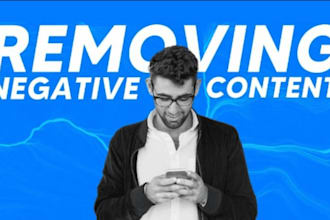 offer permanent remove personal info, videos, mugshots, article, images and link