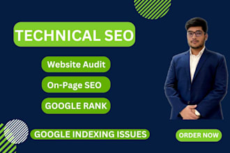 provide website audit report and manual on page seo optimization