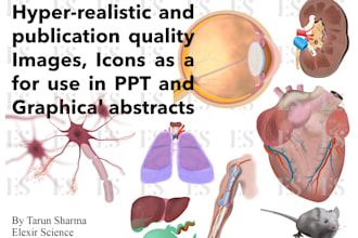 draw scientific and anatomical diagrams for research publications