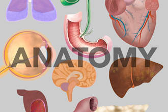 draw originals diagrams or images for research publications ppt or editorial use