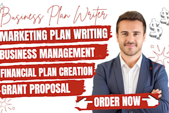 craft a business plan with marketing and financial plan model, grant proposal