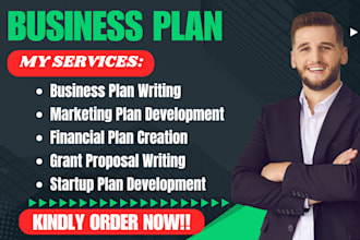 craft a business plan with marketing and financial plan model, grant proposal