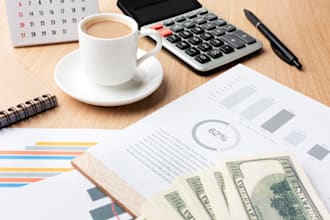 do accounting, bookkeeping, financial reporting and vat filing for uae business