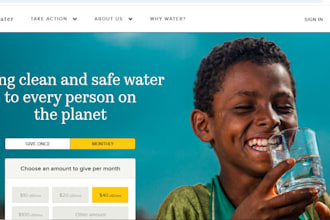 nonprofit website, charity website, 501c3 website, donation website, ngo website