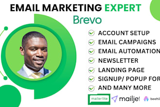 brevo campaign, mailjet, mailerlite, mailgun, beehive newsletter design