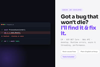 fix bugs and errors in your dotnet application