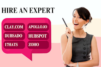 expert CRM setup for small biz dubsado, hubspot  apollo io