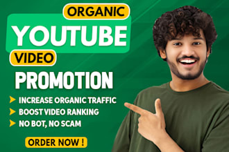 do organic youtube promotion for your video to grow your views