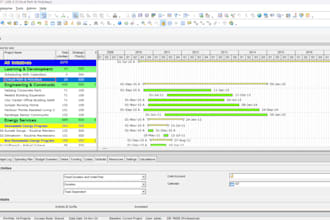 do primavera p6 project management services