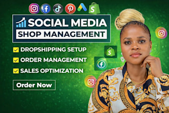 set up tiktok shop, facebook, instagram shop, and shopify dropshipping store