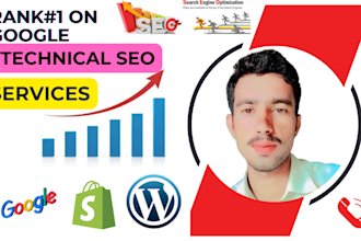 do complete technical seo services, website optimization,google search console