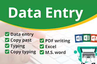 do ms excel data cleansing, data entry and formula