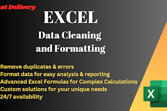 do data cleaning, formatting and data organization in excel