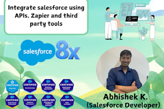 integrate salesforce using apis, zapier, and third party tools