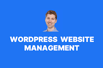 provide maintenance and support for your wordpress website