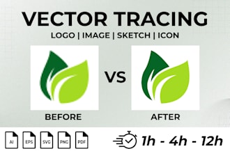 vector tracing, convert image to vector file, recreate image