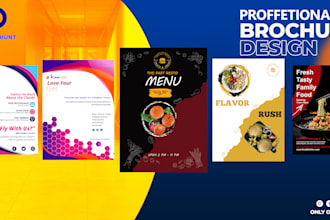 design professional brochure and flyer within 24 hours