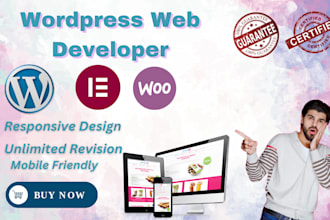 design professional wordpress website