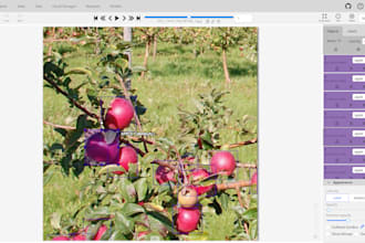 do image annotation and segmentation of your data using cvat and roboflow