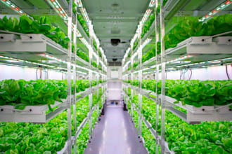 write agriculture and farming related business plans for you