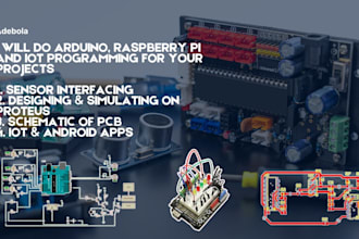 do arduino, raspberry pi and esp programming and projects