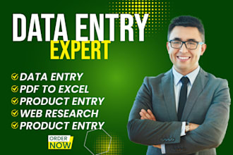 do data entry, excel, copy paste, web research and typing