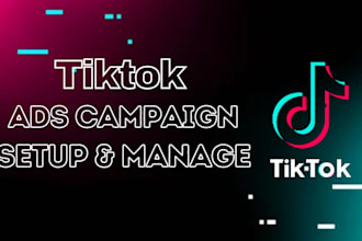 setup and manage tiktok ads campaign, tik tok advertising