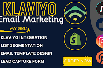 klaviyo email marketing campaign shopify sales marketing leads ads klaviyo flows