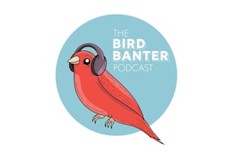 design bird banter podcast logo